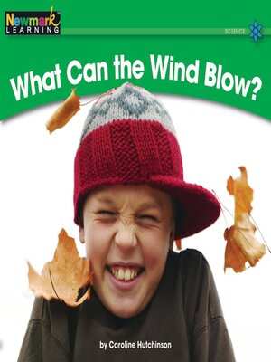 cover image of What Can the Wind Blow?